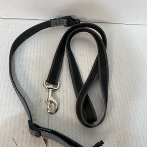 Leash $ Collar Dog size large gray